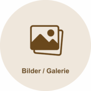 Bilder aus Teamworkshops