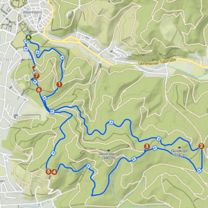 Wander-Tour Netzwerk-Sparring-Event Schreinerzeit Wanderroute der Netzwerk- und Sparring-Wanderung von Schreinerzeit in Weinheim, Rhein-Neckar – 9,05 km durch den Odenwald über Geiersberg und Goldkopf, mit 7 Stationen, 200 Höhenmetern und rund 2,5 Stunden Gehzeit.